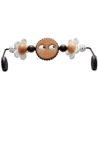 Toy for Bouncer – Googly eyes