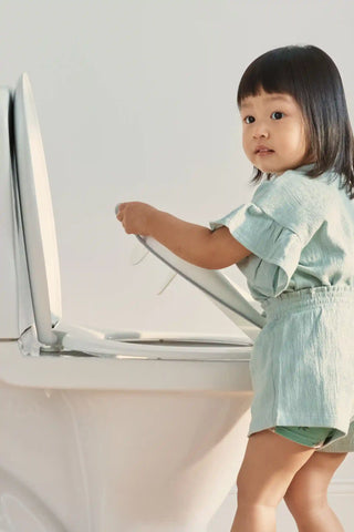 Toilet Training Seat